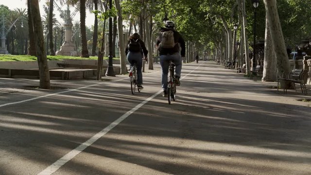 Bicycles riding in the park early morning. Bicycle road and white line on it. Summer in the city. Barcelona in June, tourist riding bikes. Green trees and soft early hours light. 