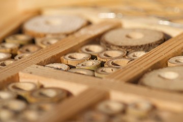 insect hotel