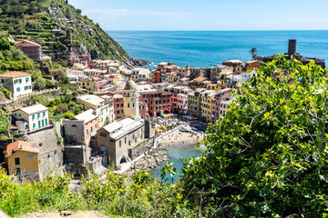 Obraz premium Vernazza von oben mit Feigenbaum im Vordergrund
