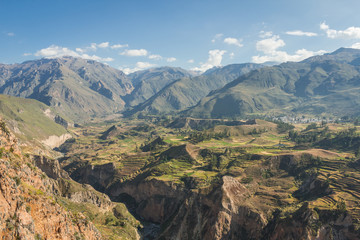 Fototapeta premium Colca Canyon