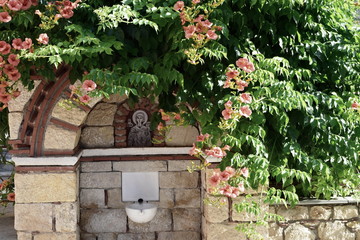 Flowers in a Greek Monastery