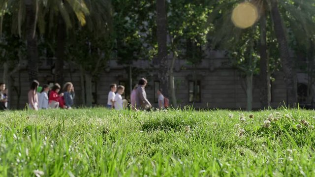 Green grass loans in the park of Barcelona. People walking blurred on the background. Tourist in summer vacation visiting Spain. Morning light int early hours, warm sun.