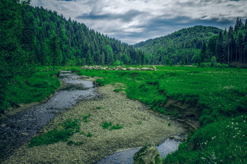 Early autumn season dramatic mountain forest scenery landscape photography with highland meadow and small river in cloudy season time 
