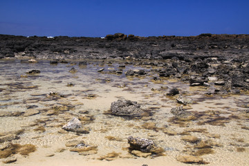Fototapeta na wymiar El Cotillo - Faro del Toston: View on natural pool with stones surrounded by black volcanic rocks north Fuerteventura
