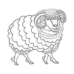 Outline sacrificial ornate sheep or ram in black isolated on white background.