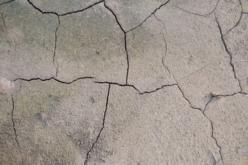 Cracked ground close up.