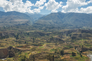 Colca Canyon