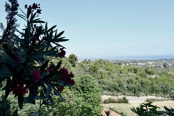 View from a Greek Monastery