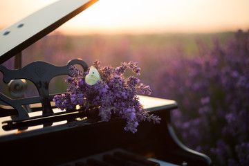 Butterfly on purple lavender flowers, against the background of the piano.
