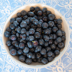 Fresh picked blueberries in a light and bright kitchen environment.