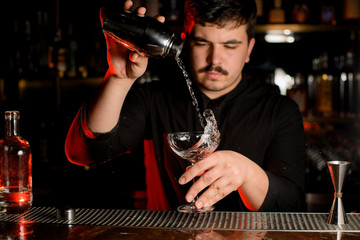 Bartender preparing an alcohol drink with shaker