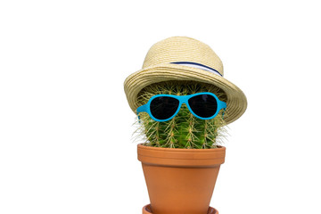 potted cactus wearing sunhat and sunglasses. Tourism concept.