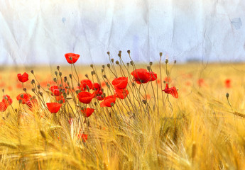 Photo landscape of beautiful red poppies flowers on a field