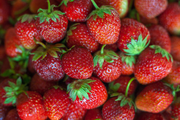 Background from freshly harvested strawberries. Top view