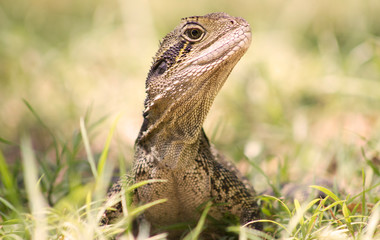 Stay alert at all times.