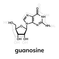 Guanosine chemical formula on white background