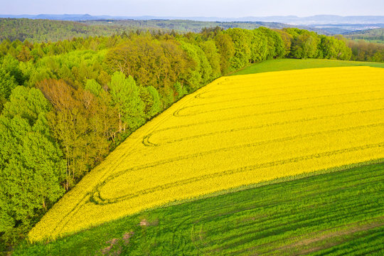 Germany, Baden-Wuerttemberg, Swabian Forest, aerial view of fields