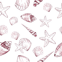 Seamless pattern with seashells. Marine background