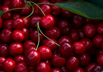 Red cherries background