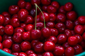 Red cherries background