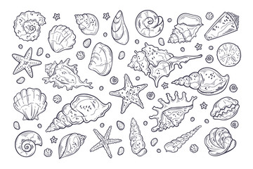 Vector sketching illustrations. Different types of shells and sea stones.