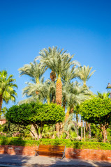 Fototapeta premium Beautiful park in old medina of Marrakesh, Morocco