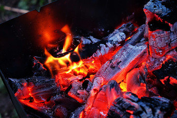 Hot red charcoals in bonefire. Night. Dahab. Sinai. Egypt.