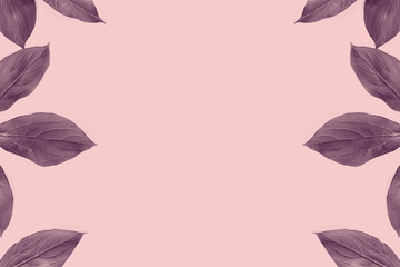Frame of purple leaves isolated on pastel pink background. Minimal seasonal concept. Flat lay top view. Copy space.