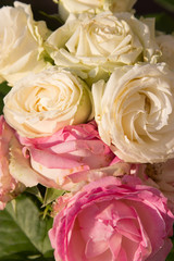 Beautiful tender roses texture photo