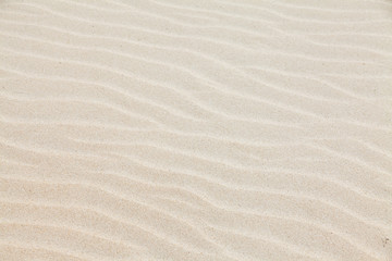 Fototapeta na wymiar Wave patterns on the beach sand