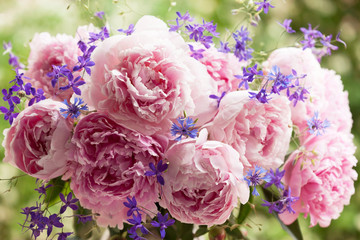 Bouquet of pink peonies, blue cornflowers and delphiniums in the garden, blur, soft focus, close-up