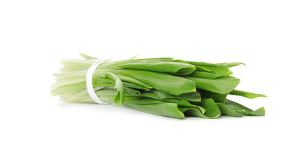 Bunch of wild garlic or ramson isolated on white