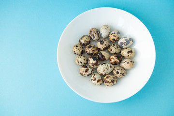 Raw quail eggs in white plate on blue background. Easter.