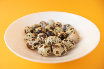 Raw quail eggs in white plate on yellow background. Easter.