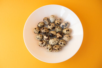 Raw quail eggs in white plate on yellow background. Easter.