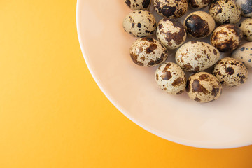 Raw quail eggs in white plate on yellow background. Easter.