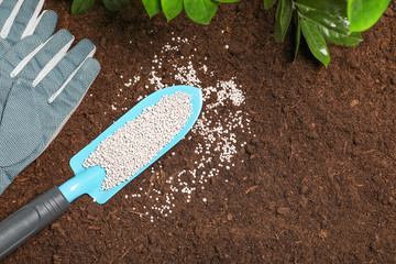 Flat lay composition with shovel of fertilizer, gloves and plant on soil, space for text. Gardening...