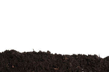 Layer of fresh soil isolated on white. Gardening time