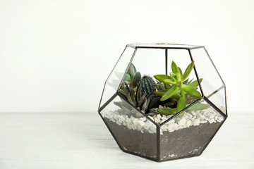 Glass florarium with different succulents on wooden table against white background, space for text