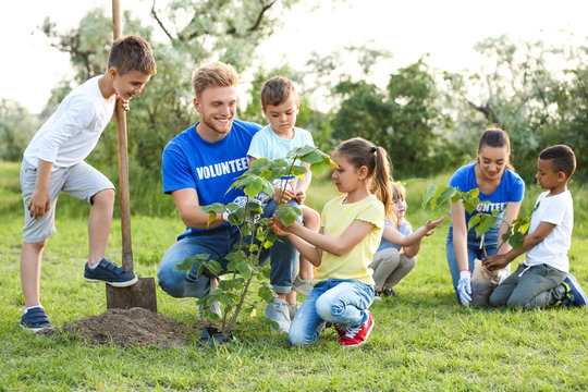 Kids Planting Trees With Volunteers In Park