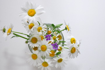 Obraz premium flower