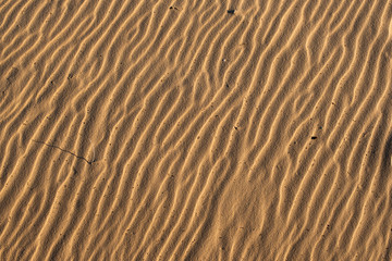 sand is all