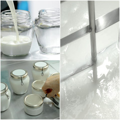 Collage with cheese manufacturing process. Production of yogurt at a dairy factory. Manufacture of...