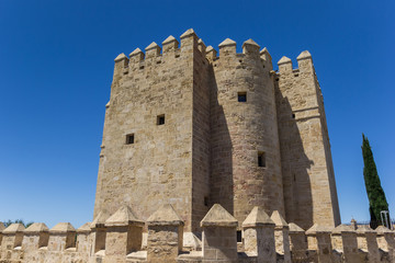 Fototapeta na wymiar Historic city gate Torre de Calahorra in Cordoba, Spain