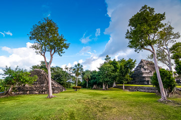 Obraz premium Pyramid in archaeological site Chacchoben, Yucatan, Mexico, Quintana Roo
