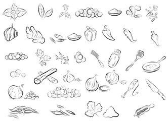 seasoning hand drawn set