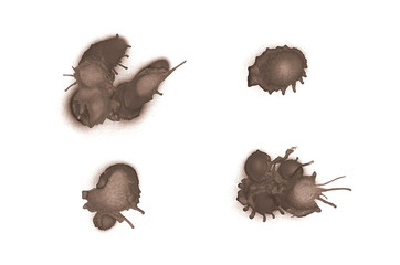 Graffiti liquid blots sprayed on white isolated background