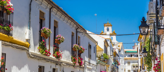 Fototapeta na wymiar Panorama of white and yellow houses in Cordoba, Spain