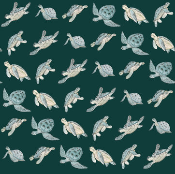 Seamless pattern with watercolor sea turtle on dark green background.Summer exotic print.