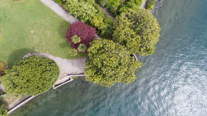 Aerial vertical drone view of a park by the lake